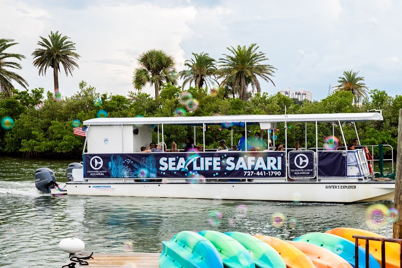 Photo of Sea Life Safari Nature Cruise