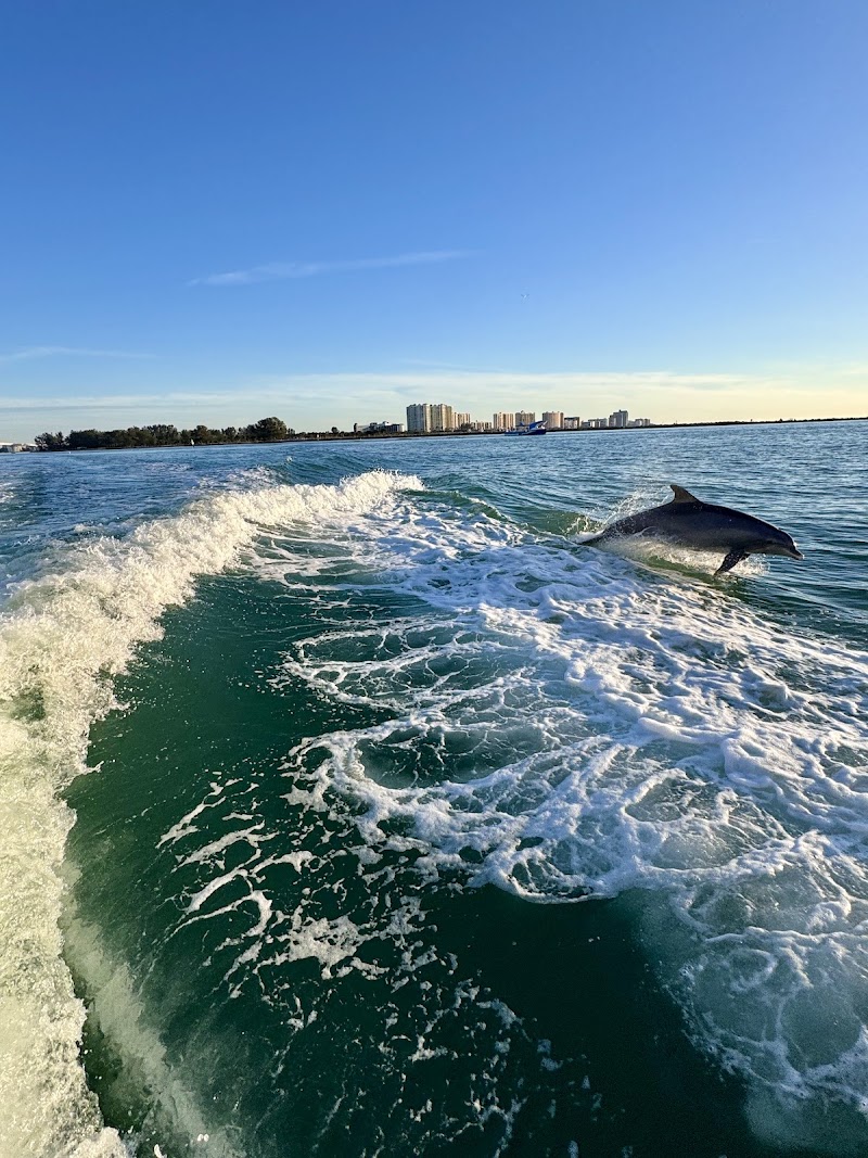 Little Toot Dolphin Adventure - #1 Dolphin Tour in the USA! photo 4