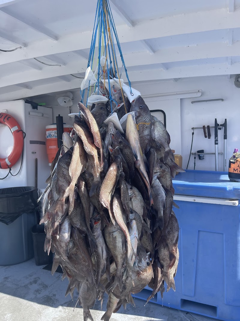 Double Eagle Deep Sea Fishing - Clearwater's #1 Party Fishing Charter photo 2