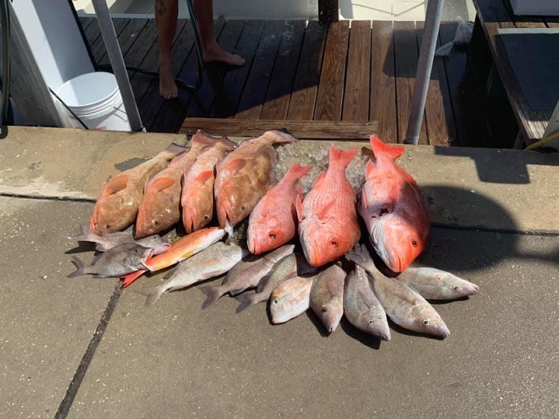 Double Hook Clearwater Fishing Charter photo 4