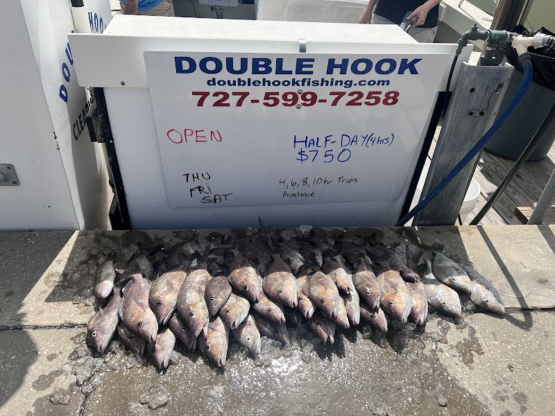 Double Hook Clearwater Fishing Charter photo 2