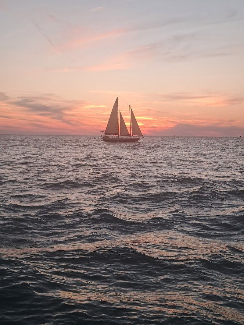 The Tropics Boat Tours photo 3