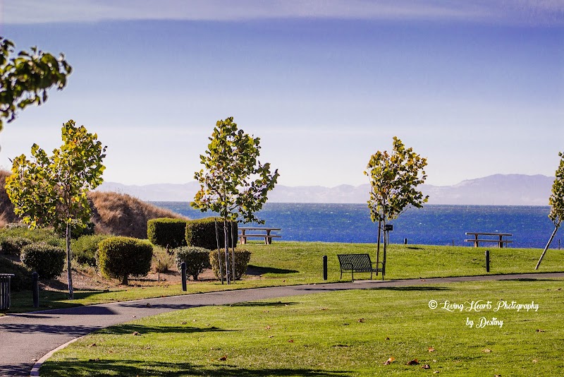 Shoreline Park Area Picnic photo 3