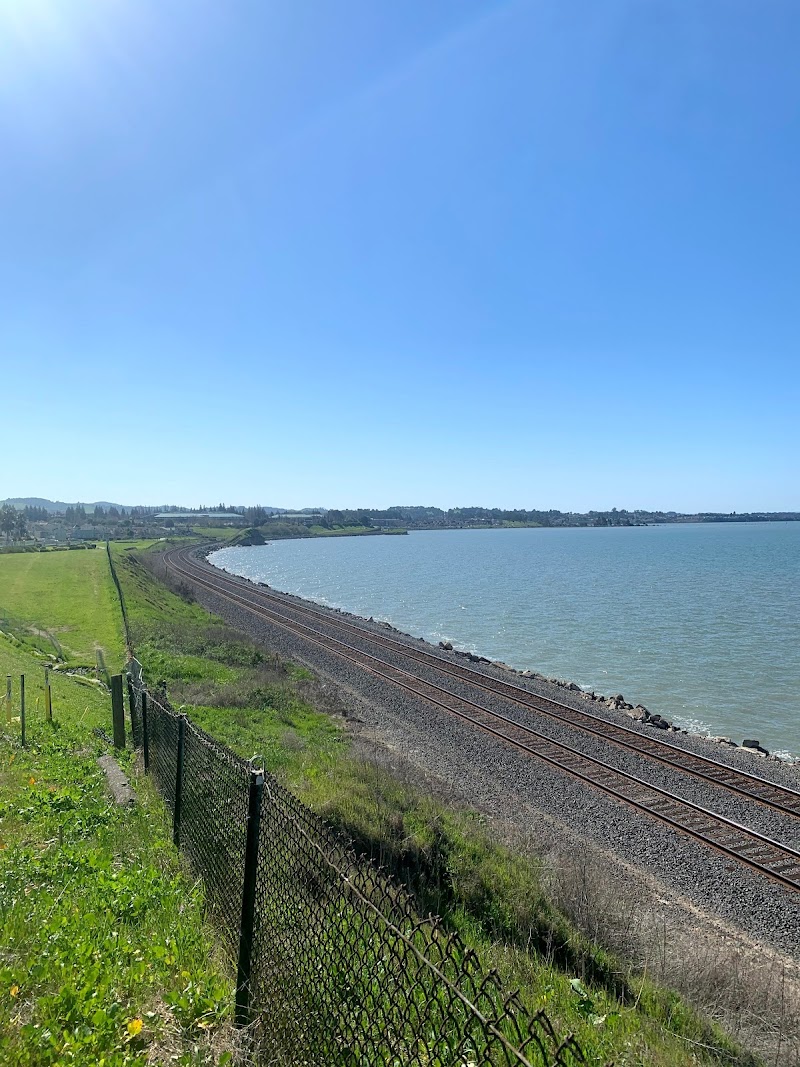 Shoreline Park Area Picnic photo 2