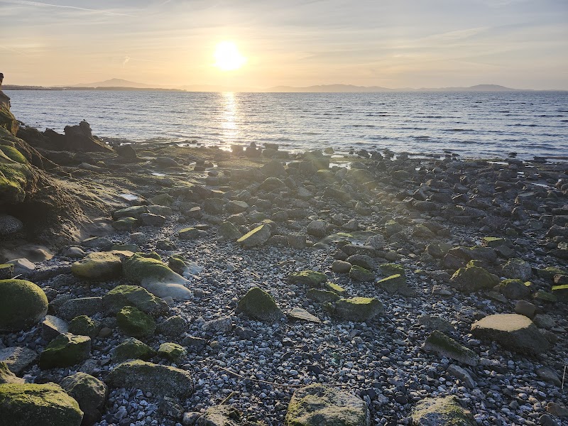 Photo of Shoreline Park Area Picnic