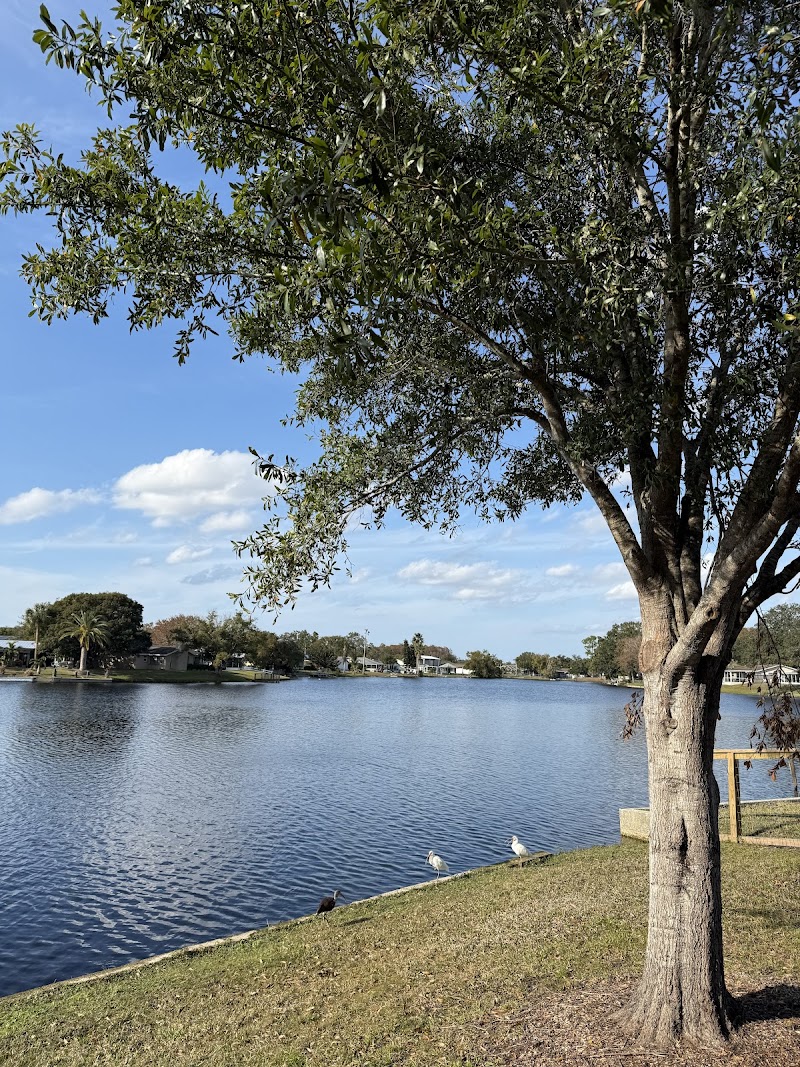 Photo of Lake Camille