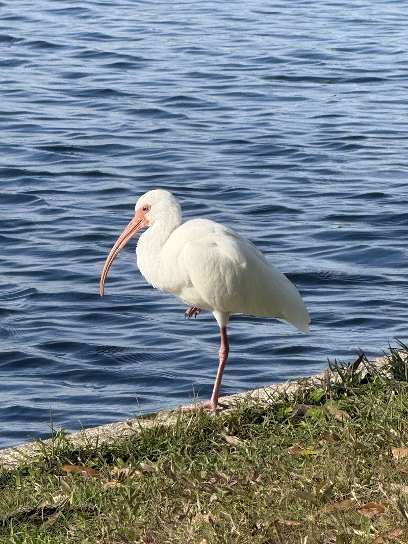 Lake Camille photo 3