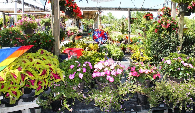Keep it Green Nursery photo 4