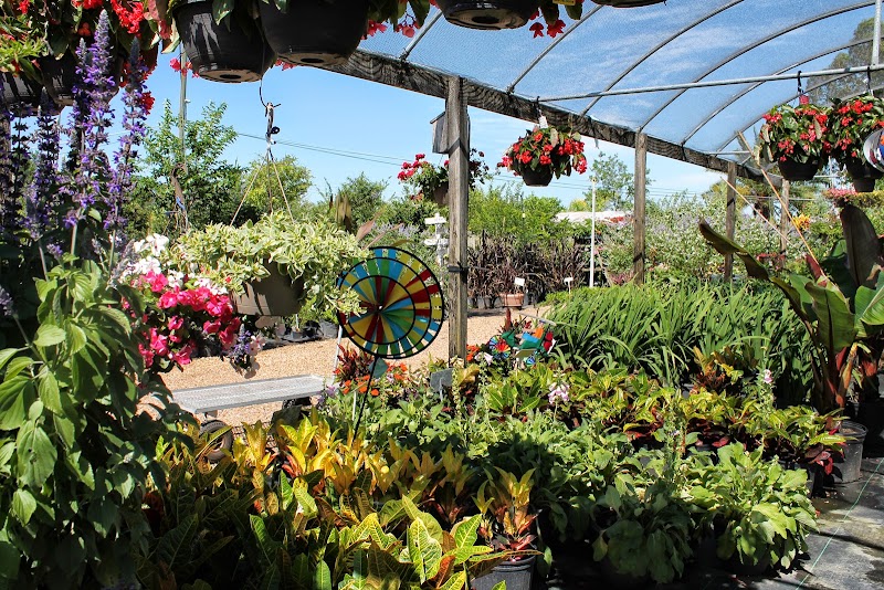 Photo of Keep it Green Nursery