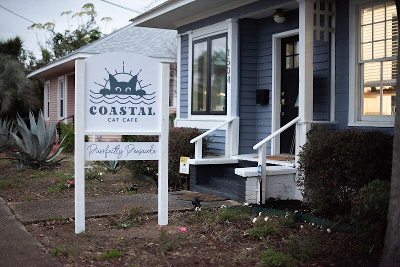 Photo of Coastal Cat Cafe