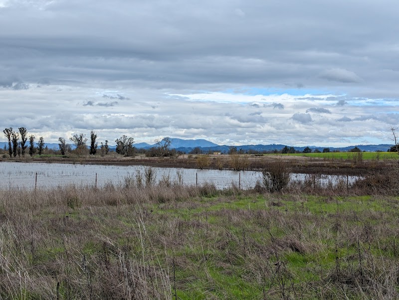 Laguna Wetlands Preserve photo 4