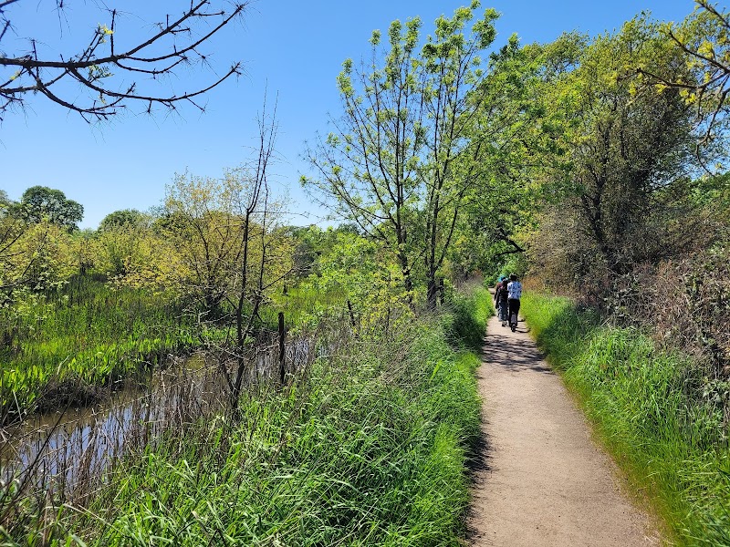 Laguna Wetlands Preserve photo 5