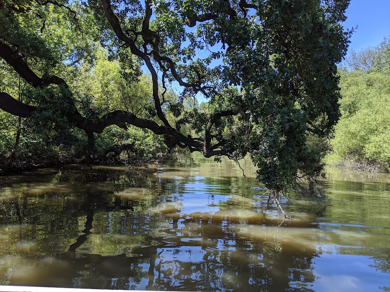 Photo of Laguna Wetlands Preserve