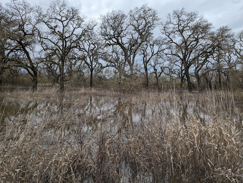 Laguna Wetlands Preserve photo 3