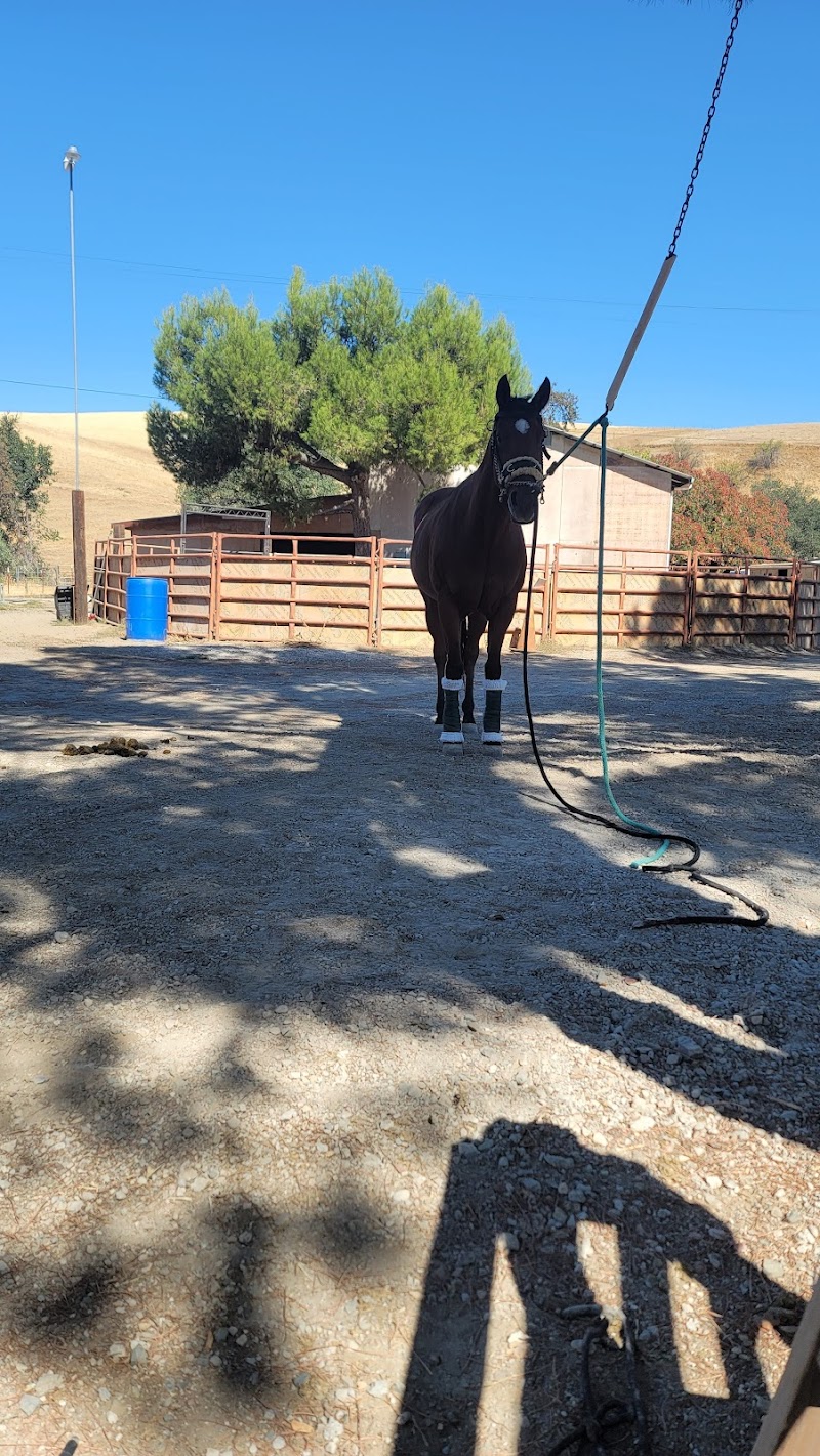 Rancho El Pinto photo 4