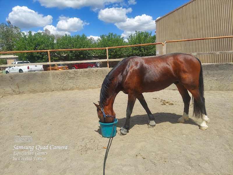 Rancho El Pinto photo 3