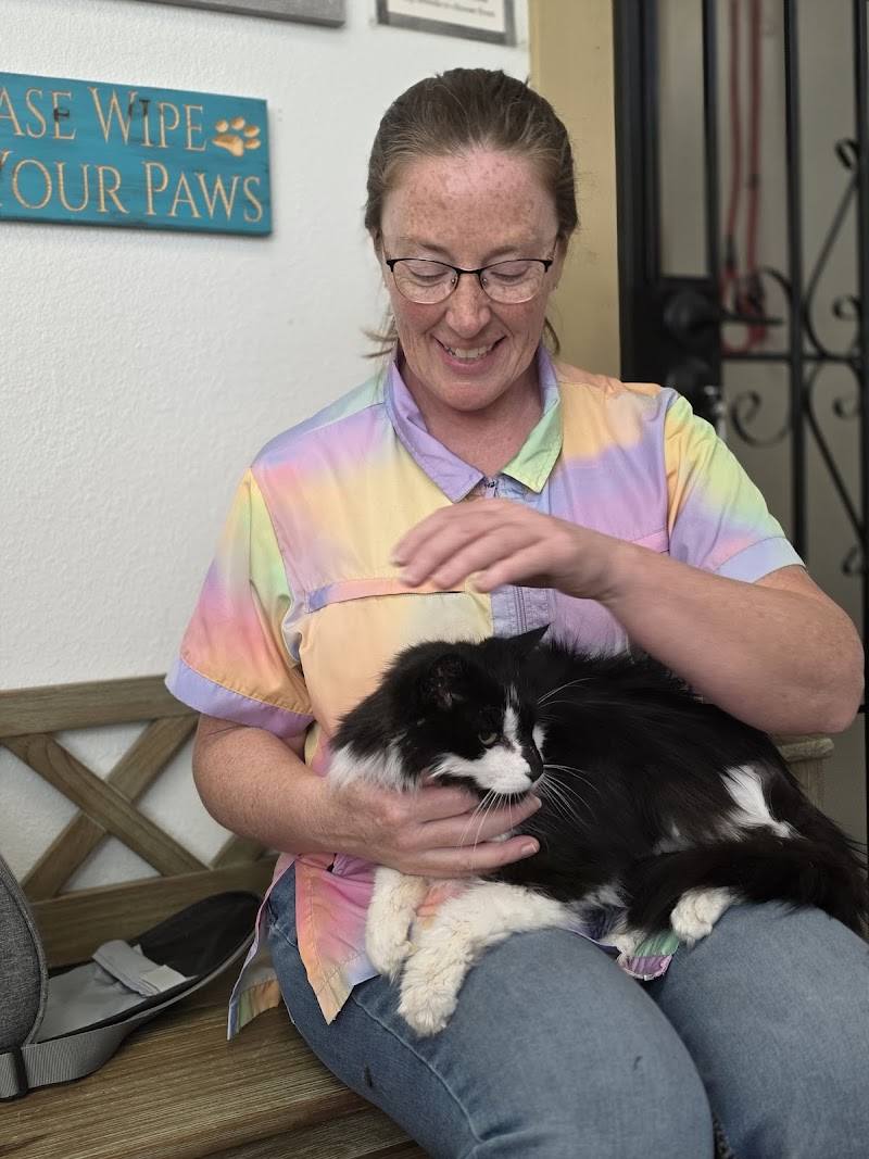 Sia Meeser Cat Grooming photo 3