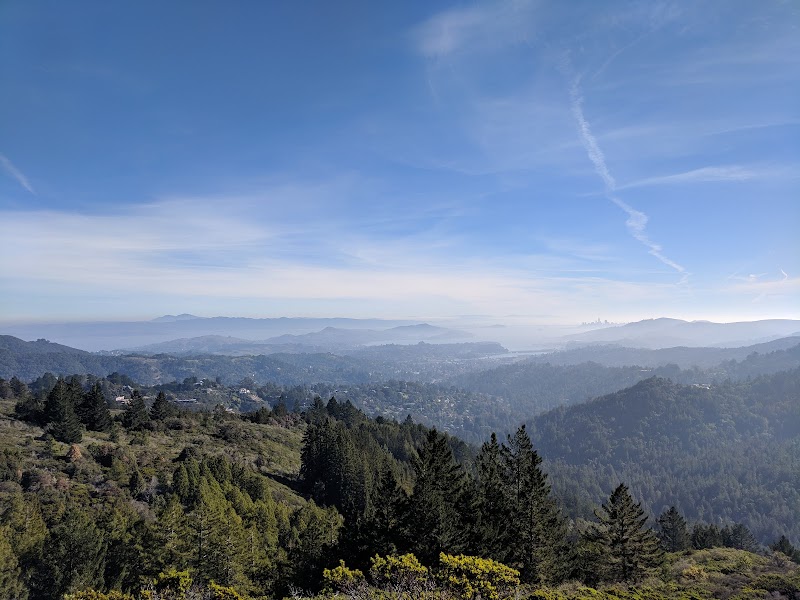 Mount Tamalpais Watershed photo 3