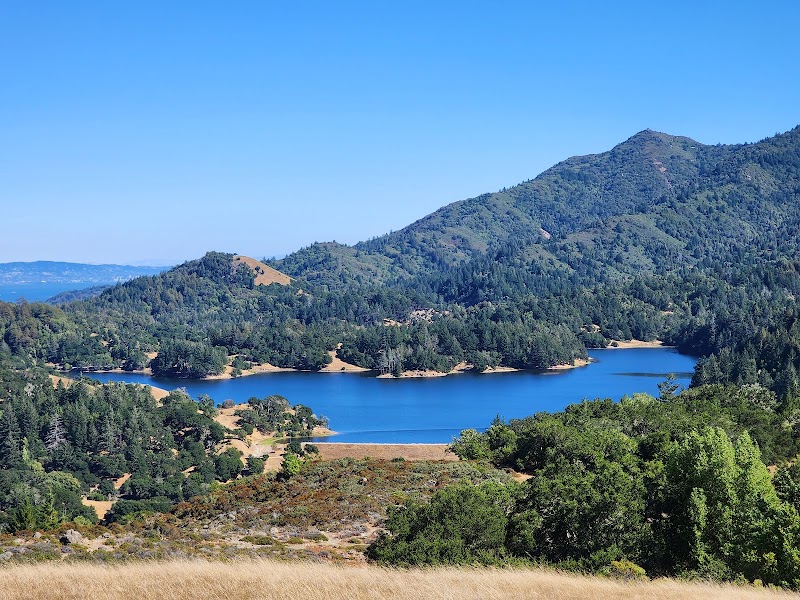 Mount Tamalpais Watershed photo 4
