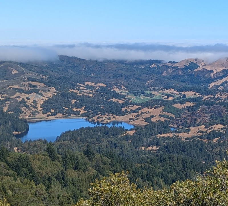 Photo of Mount Tamalpais Watershed