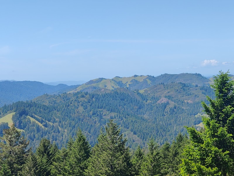 Mount Tamalpais Watershed photo 2
