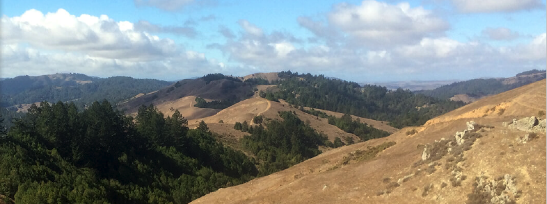 Photo of Marin Coalition
