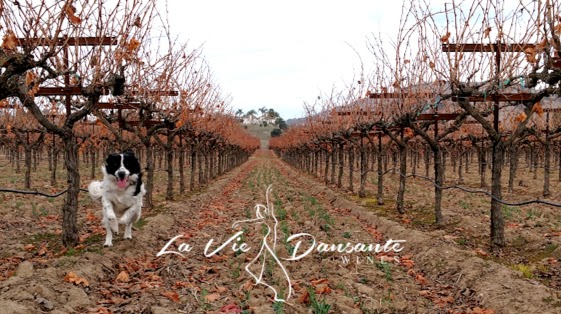 Photo of La Vie Dansante Wines