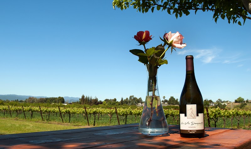 La Vie Dansante Wines photo 3