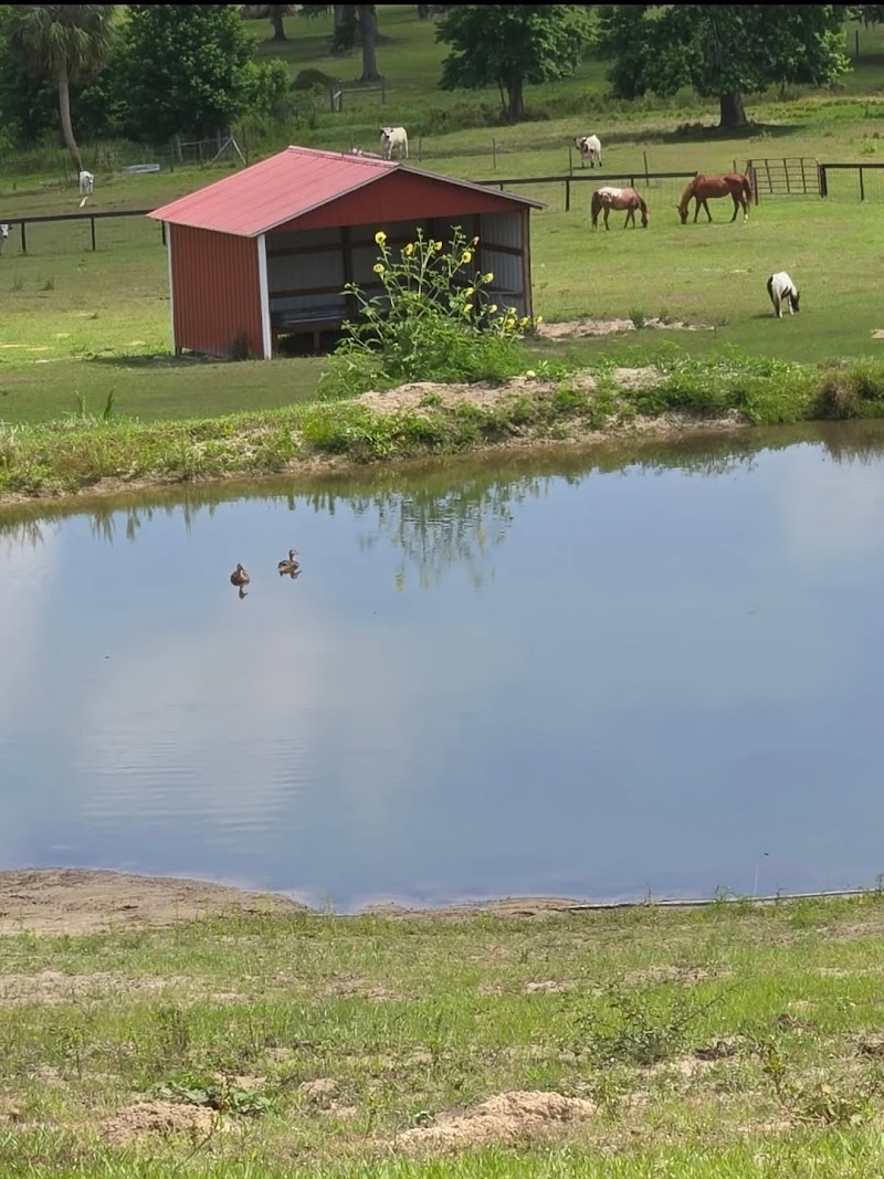 Bozeman Stables photo 4