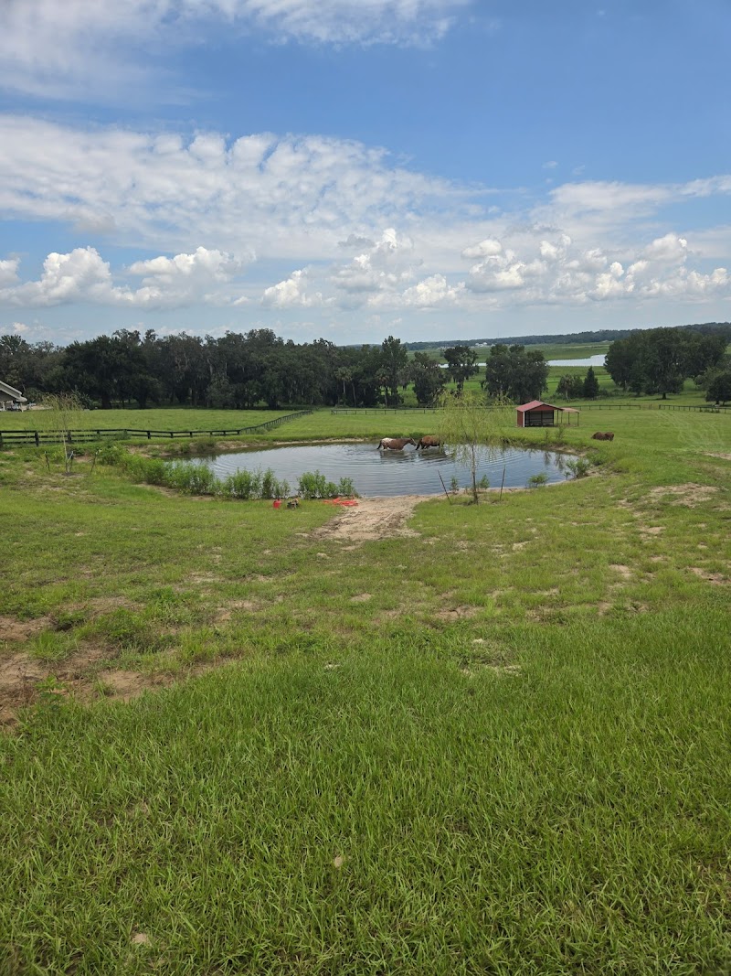 Bozeman Stables photo 3