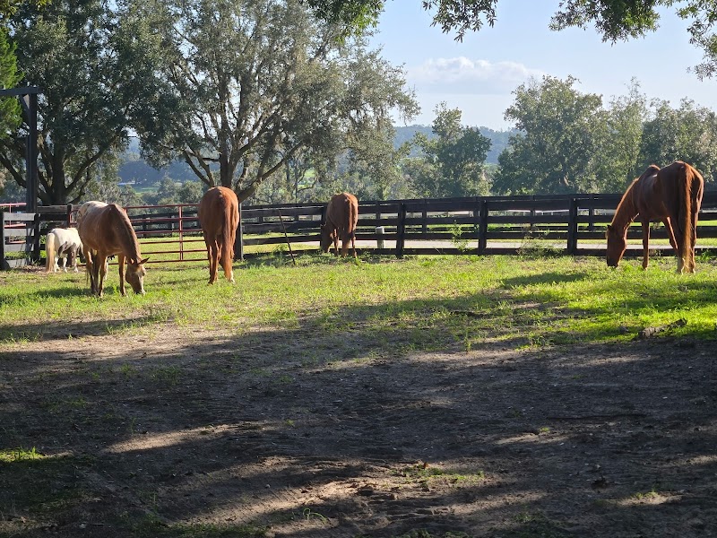 Bozeman Stables photo 2