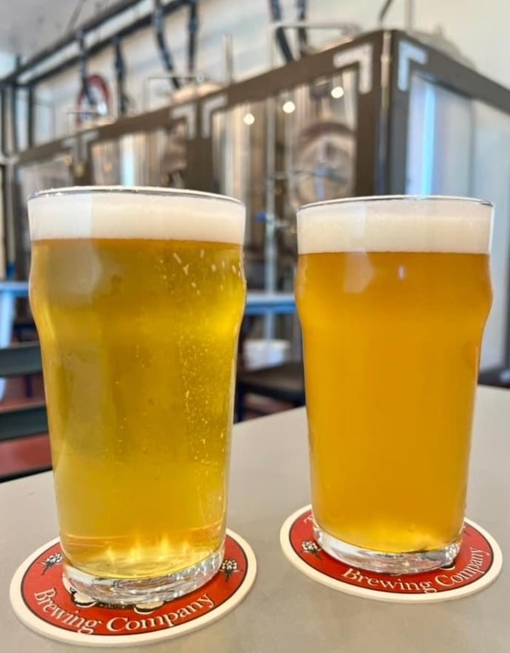 Two Ass Brewing Company photo 4