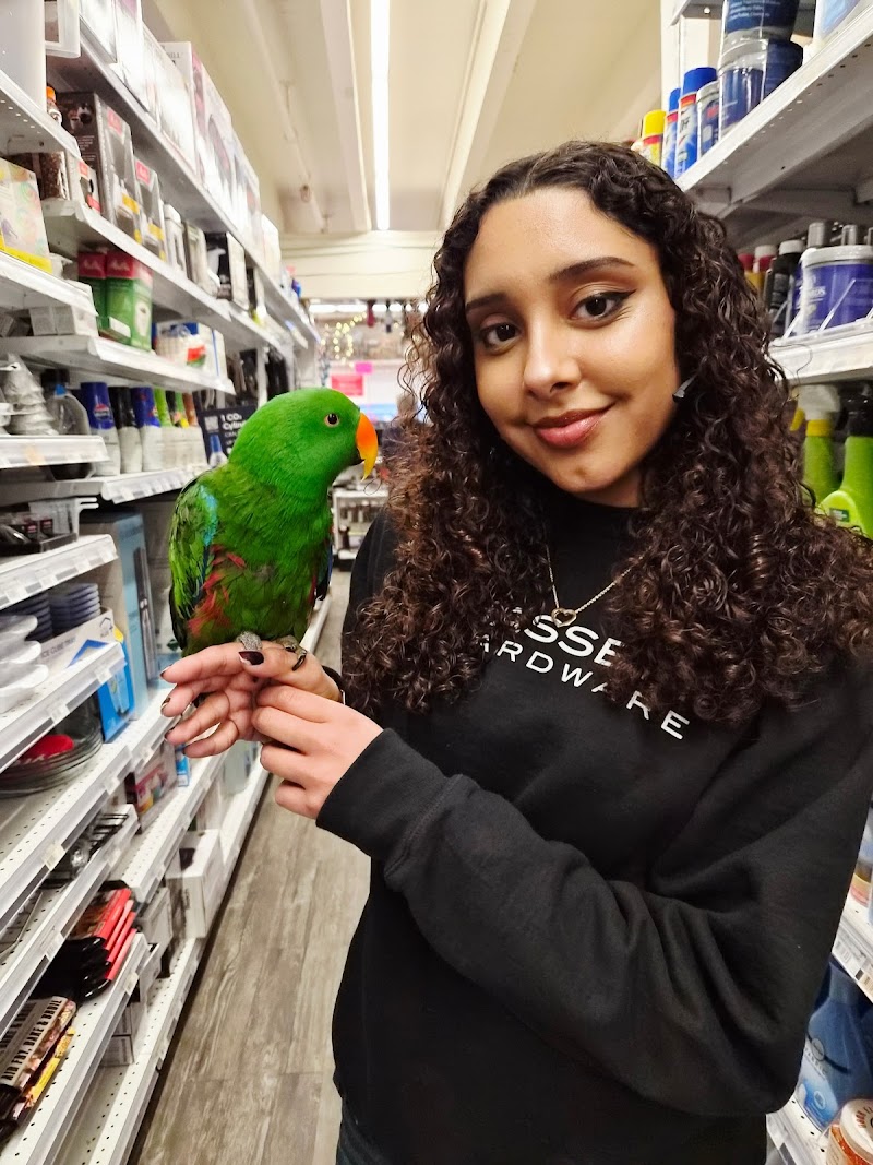 Hassett Ace Hardware photo 4