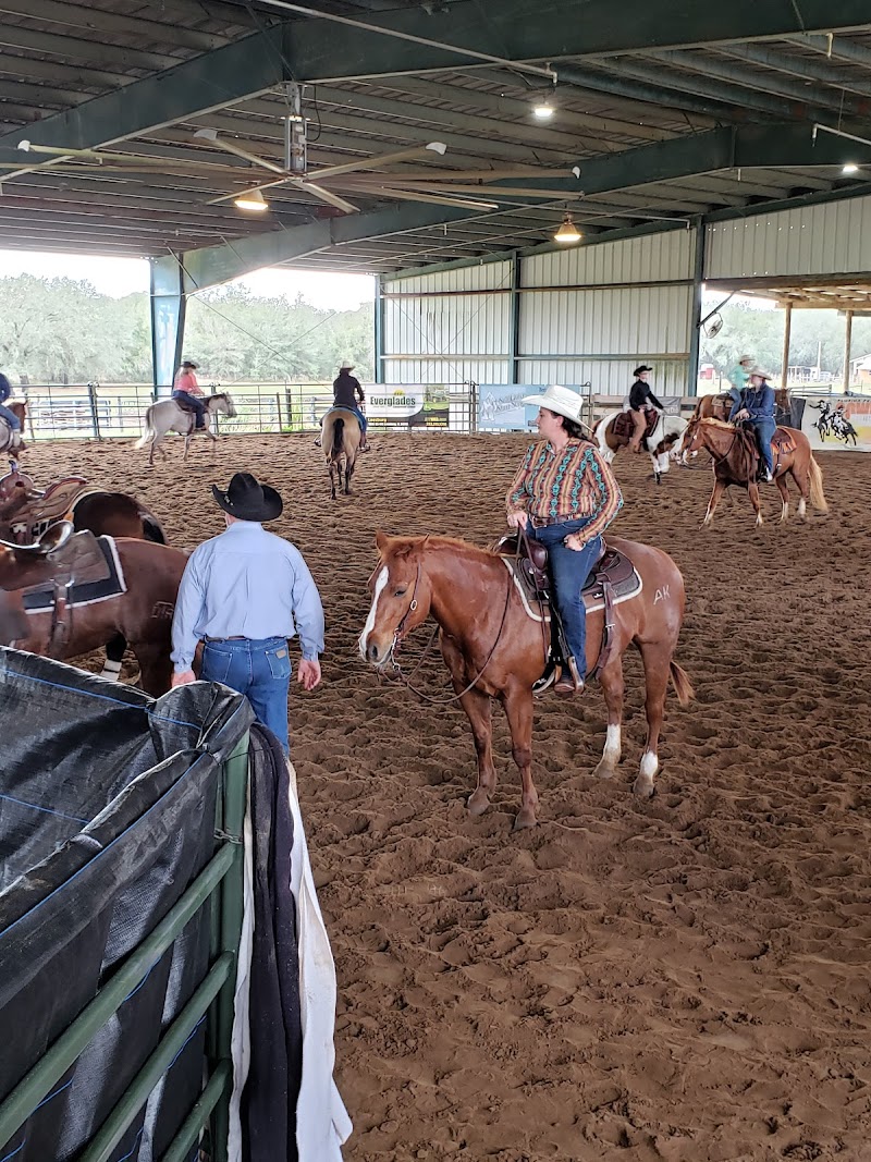 Florida Equine Center LLC photo 2