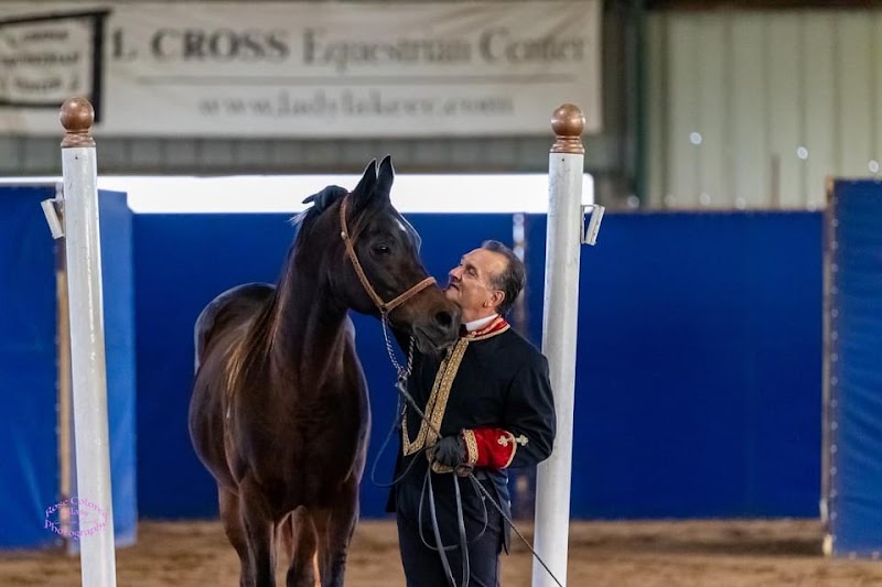 Florida Equine Center LLC photo 4