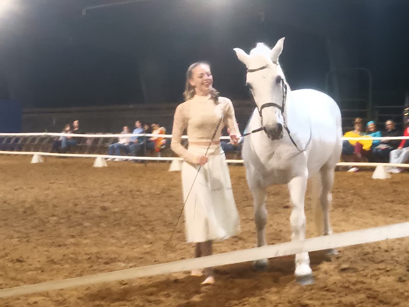 Florida Equine Center LLC photo 3