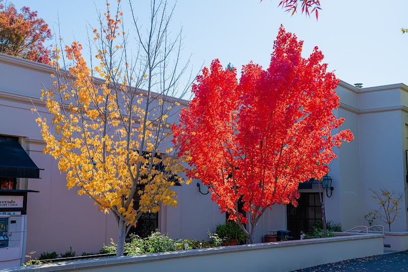 Photo of Silverado Credit Union