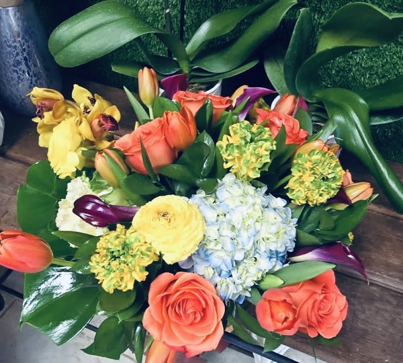 San Pablo Bloom Fresh Florist photo 5