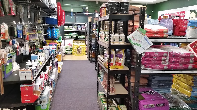 Ace Barn Feed & Pet Supplies photo 5