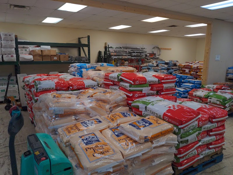 Ace Barn Feed & Pet Supplies photo 3