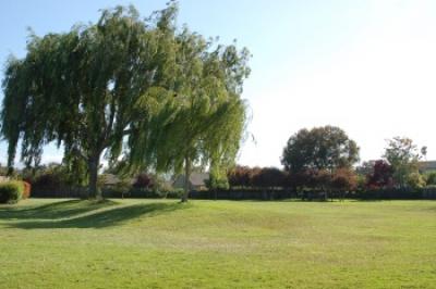Sunfish Park photo 4