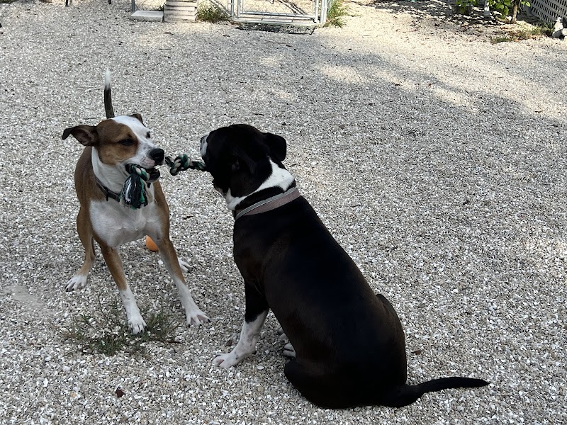 My Service Dog’s Place photo 2