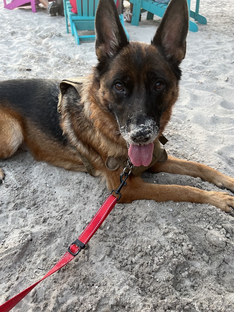 My Service Dog’s Place photo 4