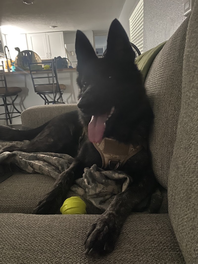 My Service Dog’s Place photo 3