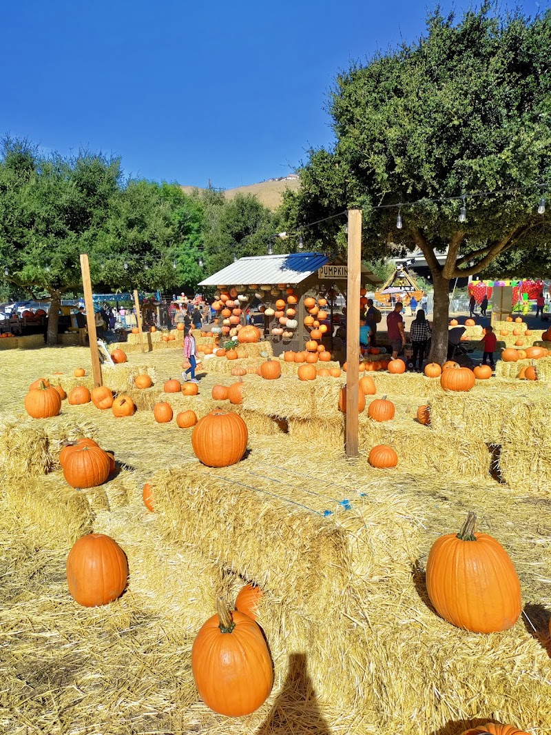 Rowell Ranch Rodeo photo 4