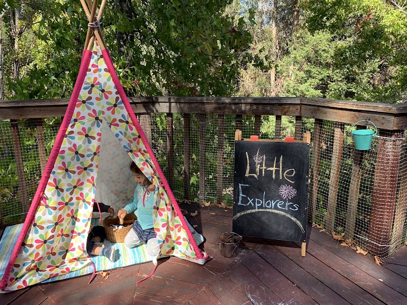Little Explorers Child Care and Preschool photo 2