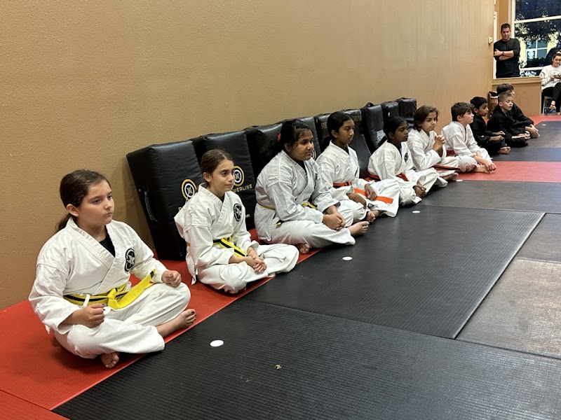 VIP International Krav Maga & Martial Arts Academy photo 4