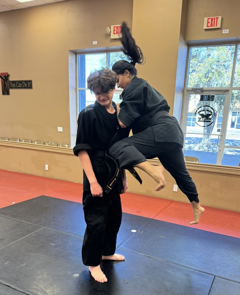 Photo of VIP International Krav Maga & Martial Arts Academy