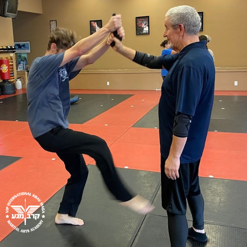 VIP International Krav Maga & Martial Arts Academy photo 2