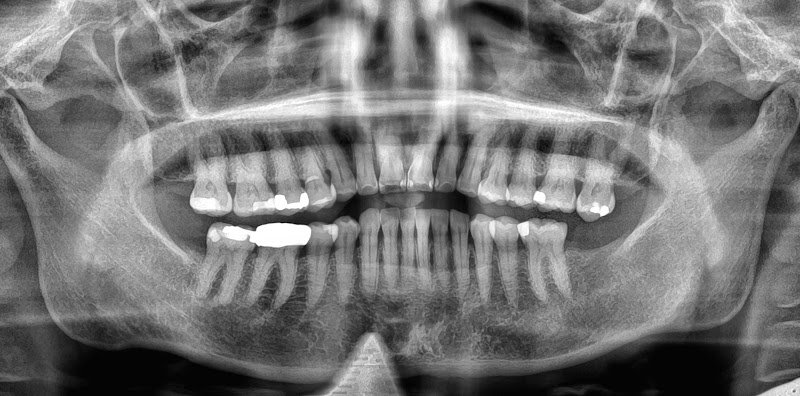 K&T Dental photo 5